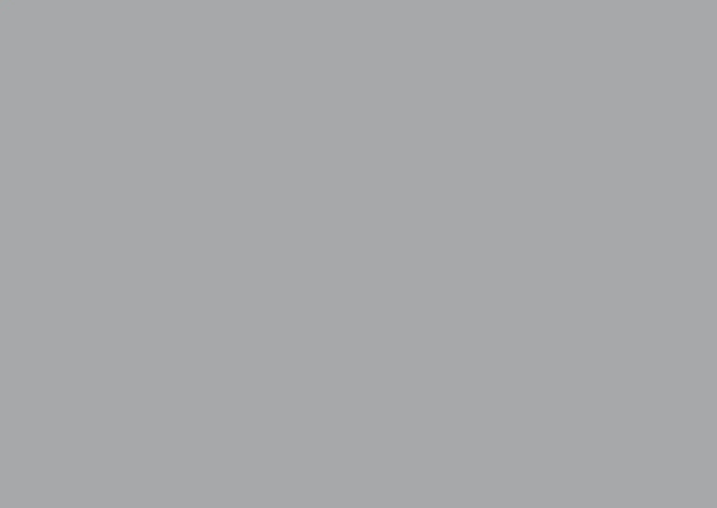 Light Gray Rectangle