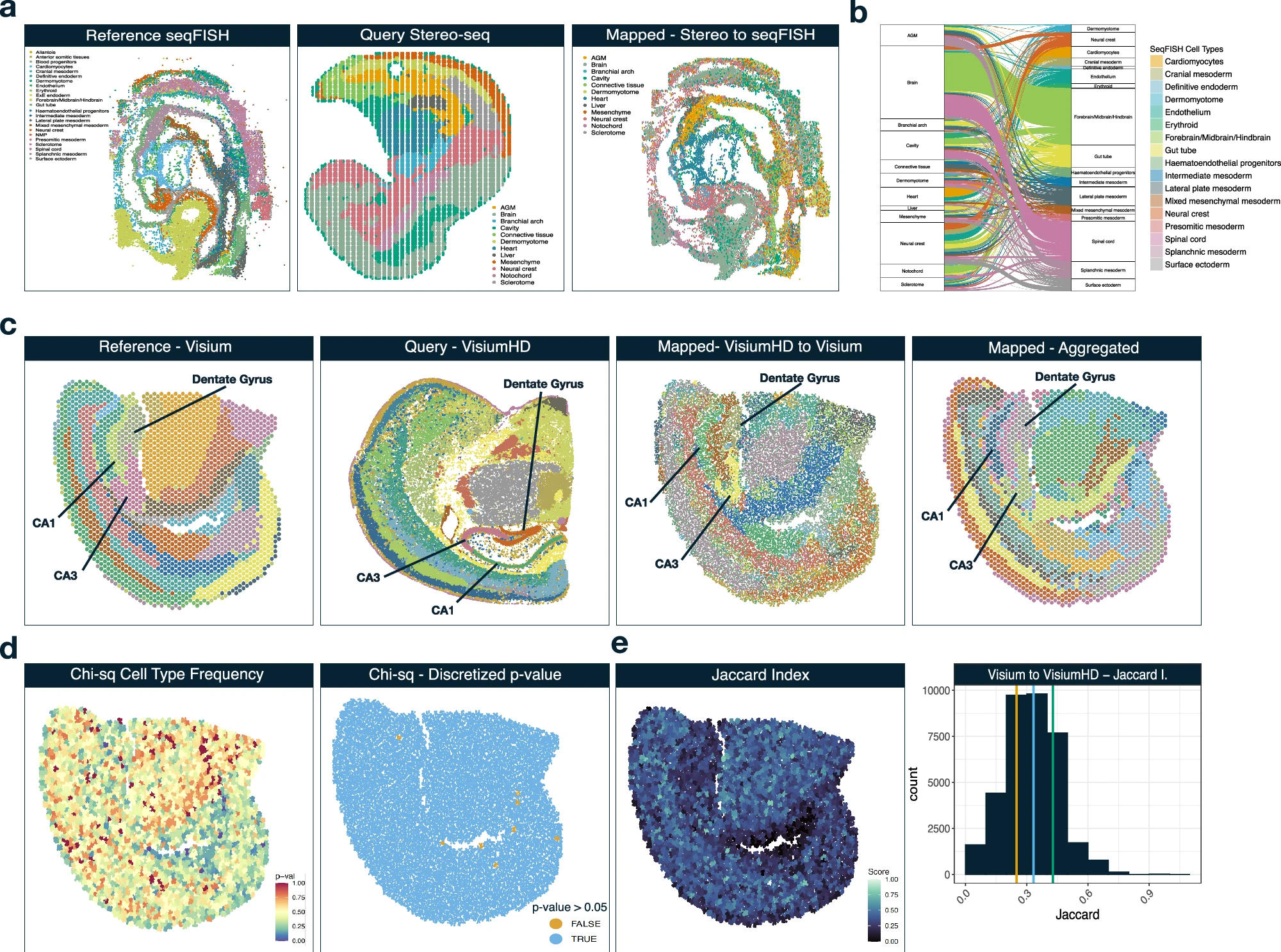 Vesalius cell-mapping tool