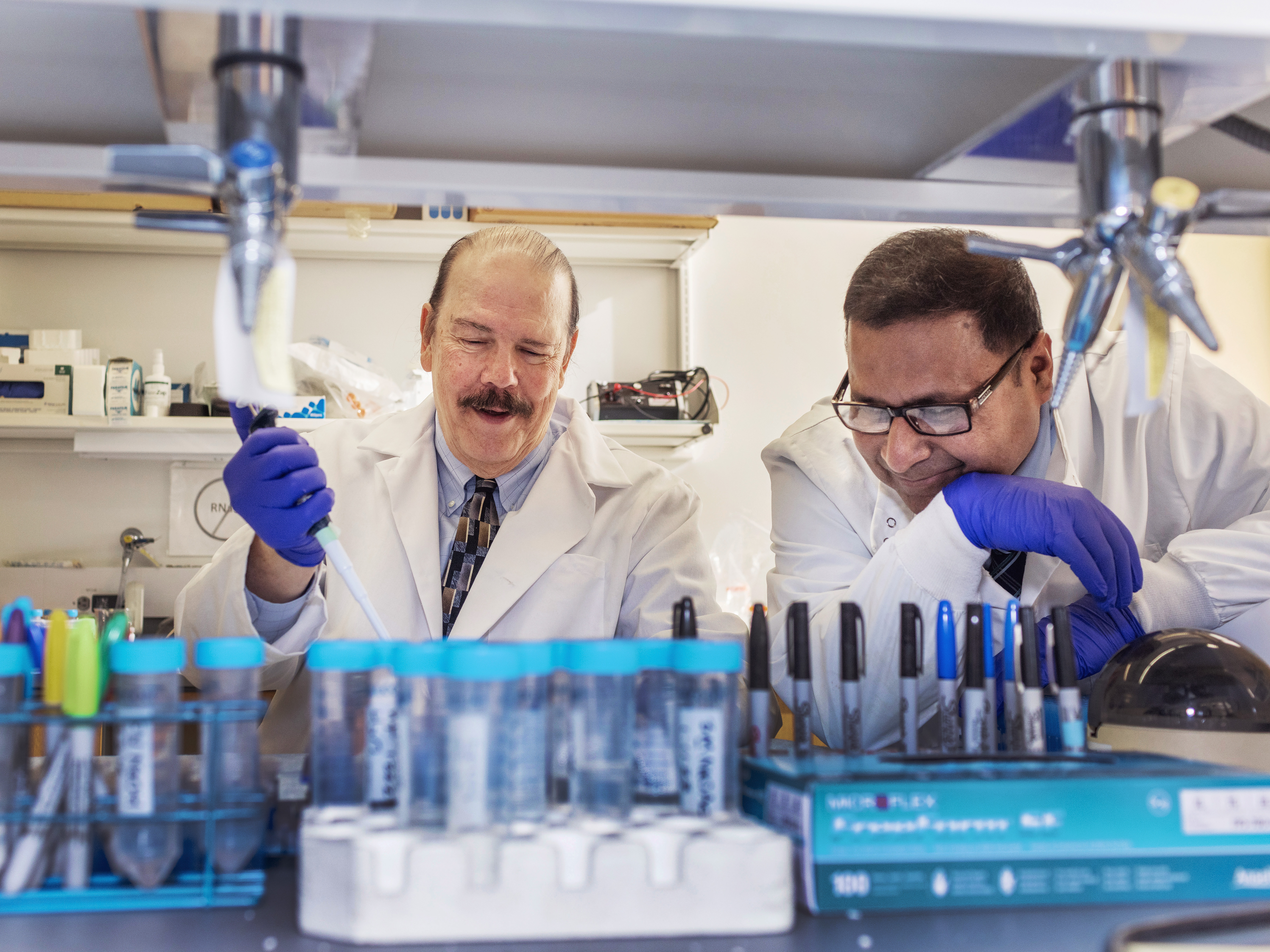 Paul B. Fisher, MPh, Ph.D., FNAI, and Swadesh K. Das, Ph.D