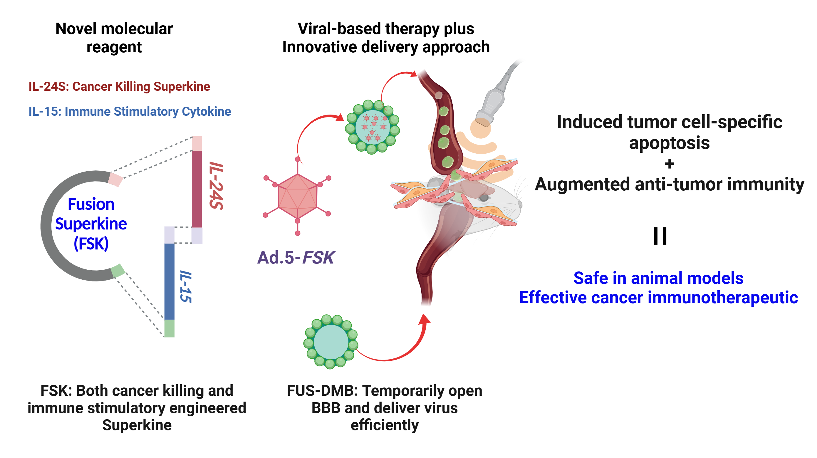 Graphic of Fusion Superkine (FSK)