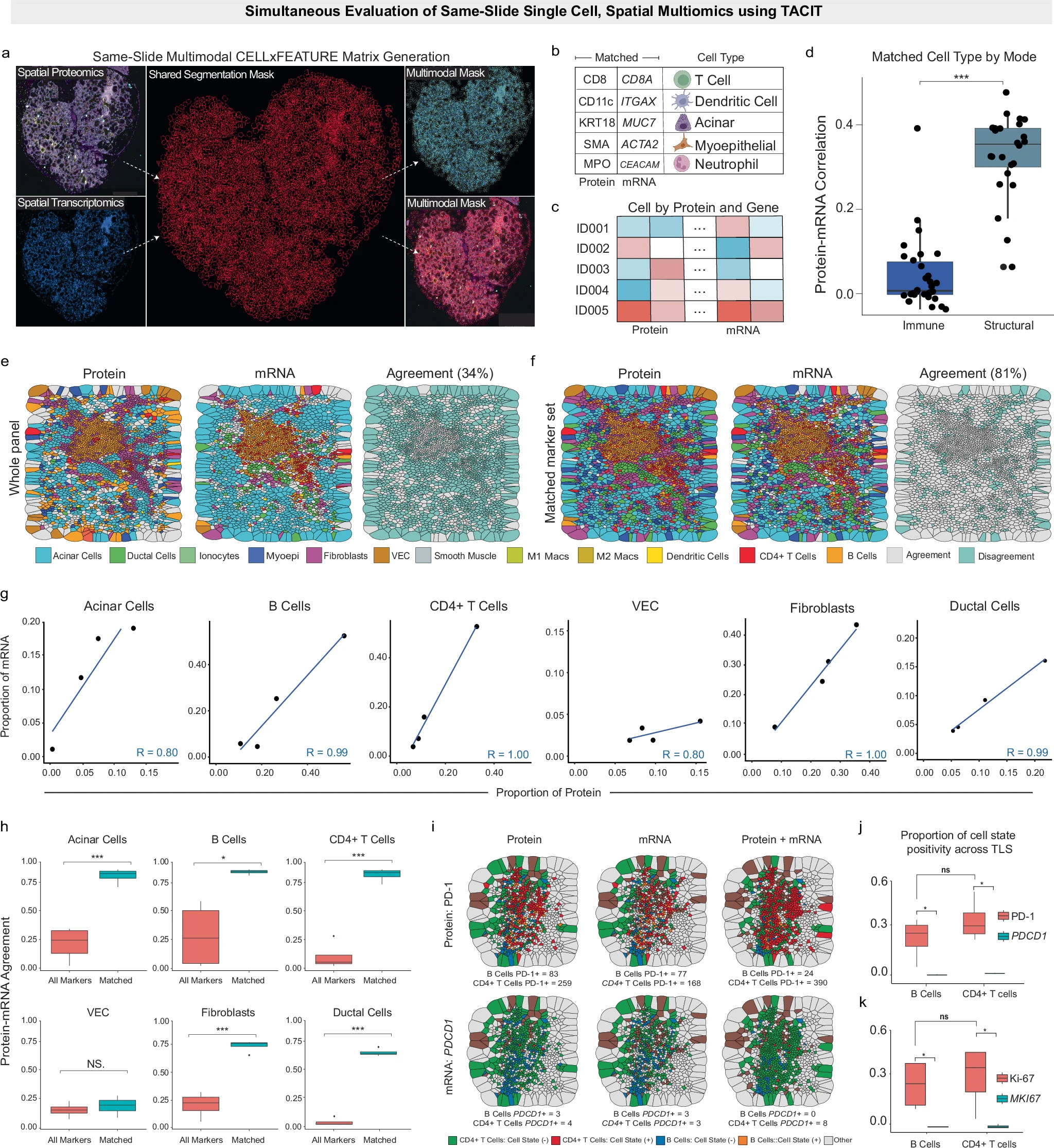 Simultaneous Evaluation of Same-Slide Single Cell, Spatial Multiomics using TACIT
