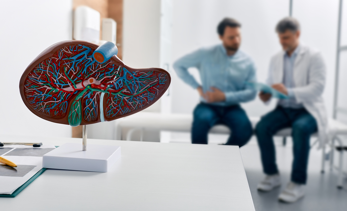 Photo of doctor and patient with 3-d diagram of a liver