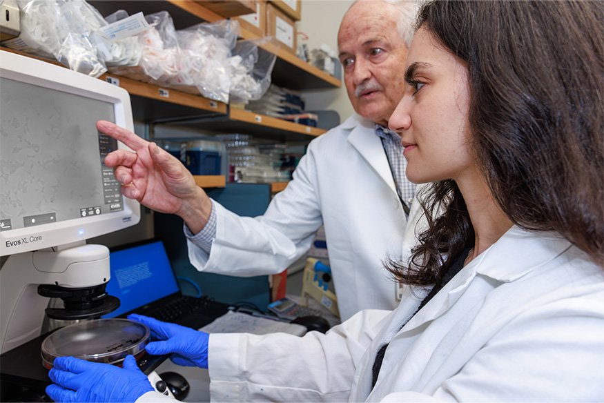 A female scientist wearing blue gloves holds a Petri dish under a microscope while an older male colleague points to an image on the monitor screen in a science lab.