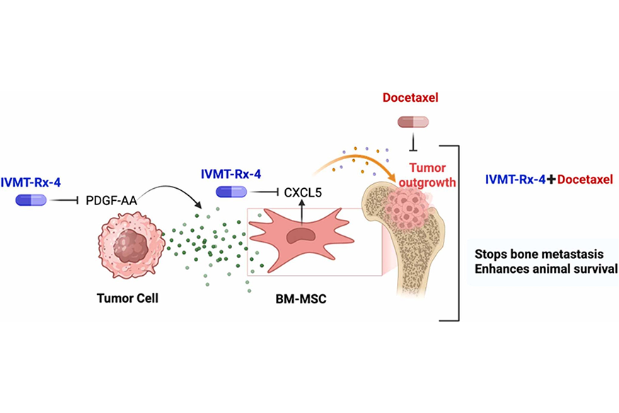 Medical illustration of IVMT treatment