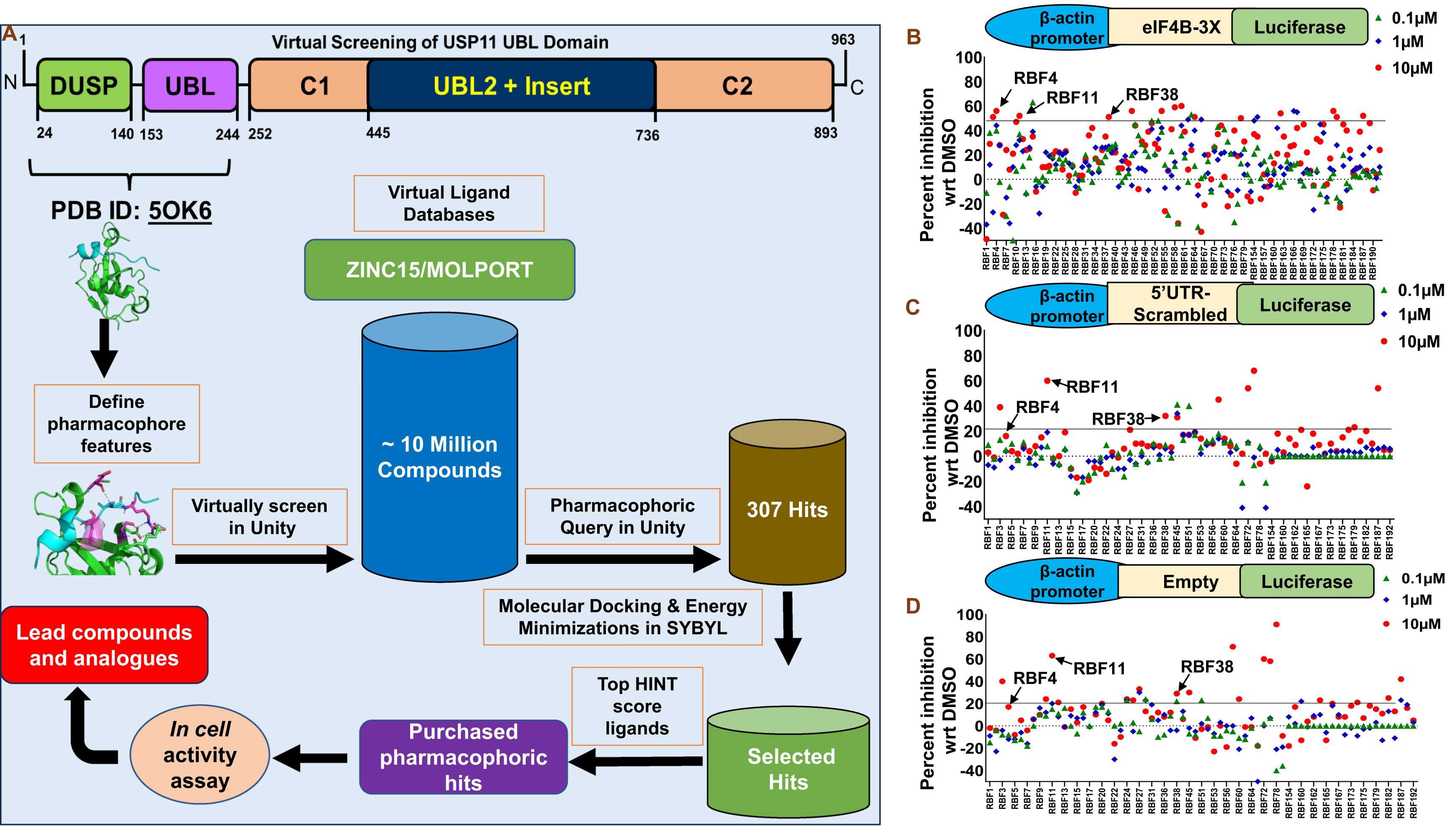 Scientitfic graphic that illustrates the lymphoma enzymes