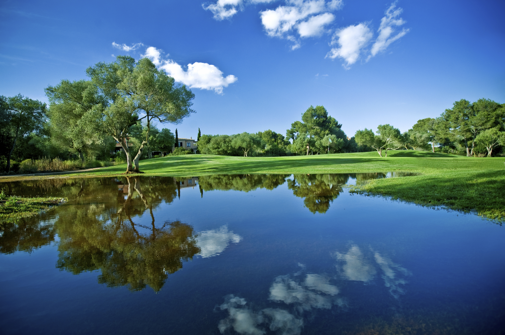 809Environment_iStock_000006175251Medium-1