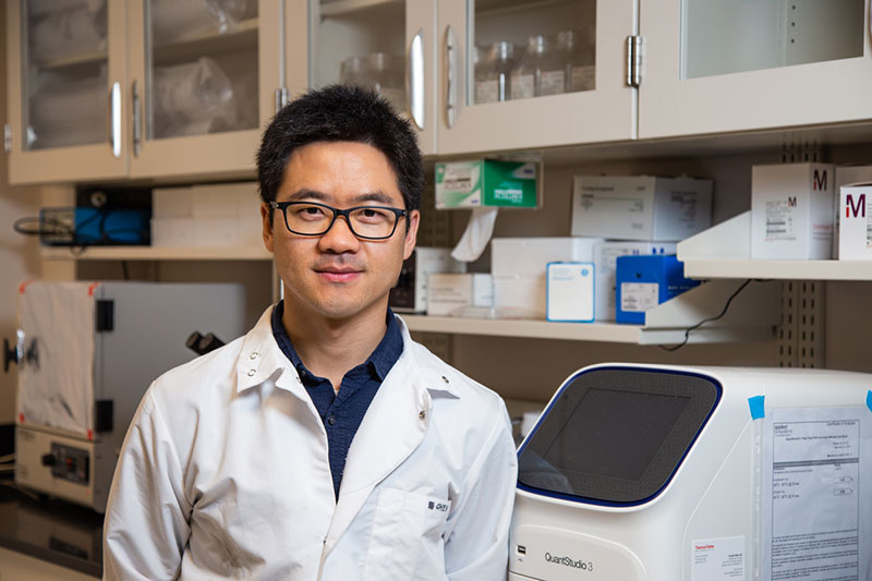 Julian-Zhu-blog