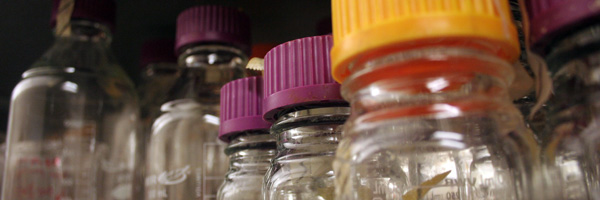 Lab_Bottles_600x200-1