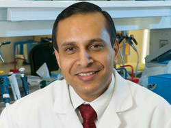 Protein found to block benefits