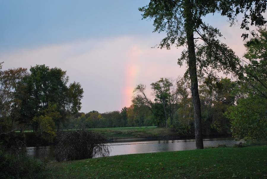 ScucciFest 2008 Rainbow