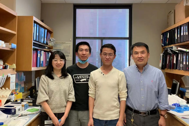 Wang lab and team