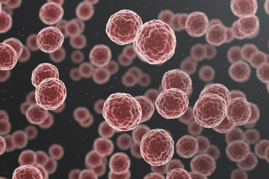 Cells stock photo