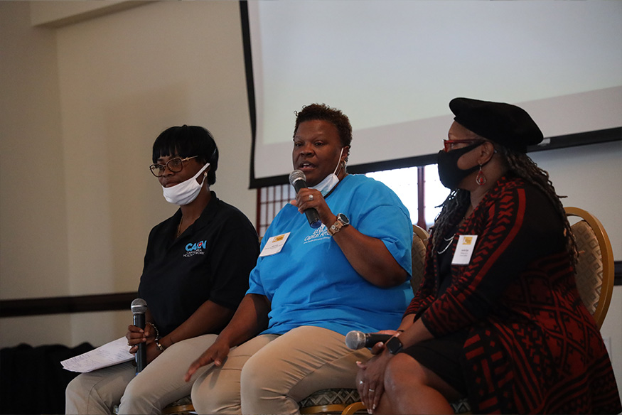 Community health partners shared their perspective on working with Massey researchers.