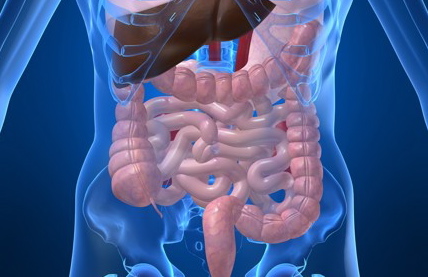 colon_2-1