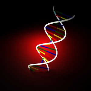 familytreerisk-1