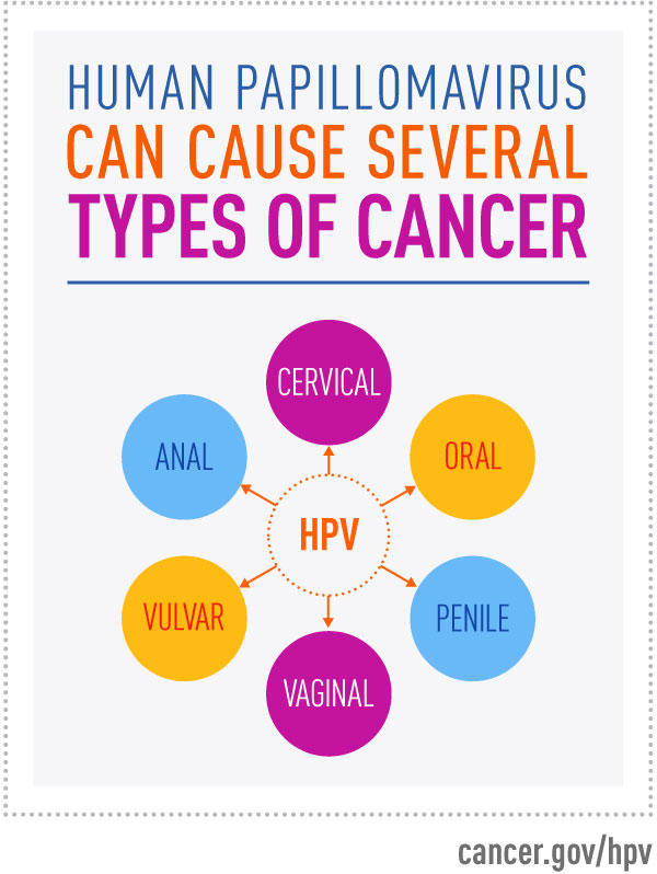 Image depicting types of cancer caused by HPV